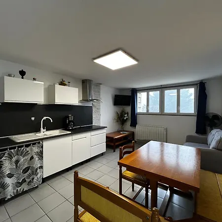 Lejlighed T2 Avec Jardin, Parking - - Fr-1-541-203 La Roche-Posay